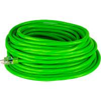 Industrial Extension Cord, All-Weather, SJTW, 10/3 AWG, 15 A, 100' Brunswick Fyr & Safety