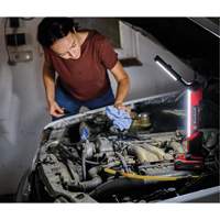 18V Cordless LED Work Light (Tool Only), LED, 1000 Lumens Brunswick Fyr & Safety