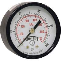 Manomètre économique,  2", 0 - 160 psi, Fixation arrière, Analogique YB870 | Brunswick Fyr & Safety