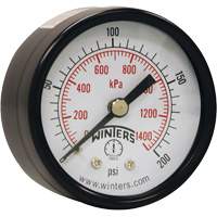 Manomètre économique,  2", 0 - 200 psi, Fixation arrière, Analogique YB871 | Brunswick Fyr & Safety